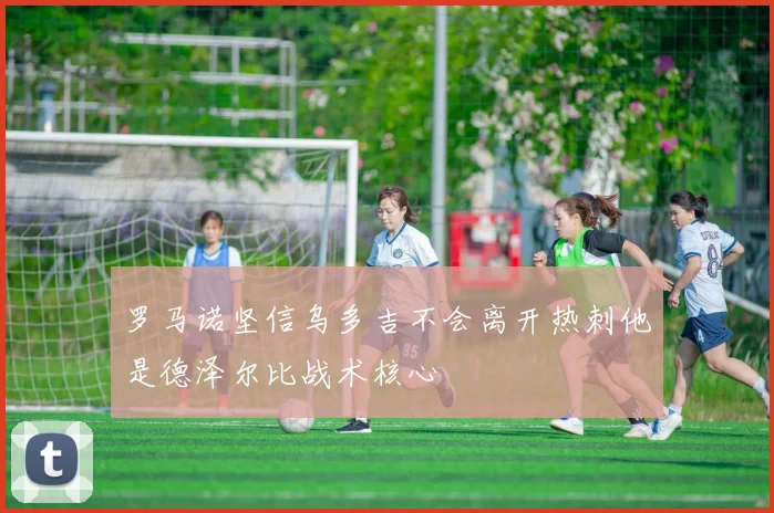 罗马诺坚信乌多吉不会离开热刺他是德泽尔比战术核心
